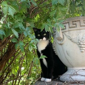 Meet your Posher, Lily